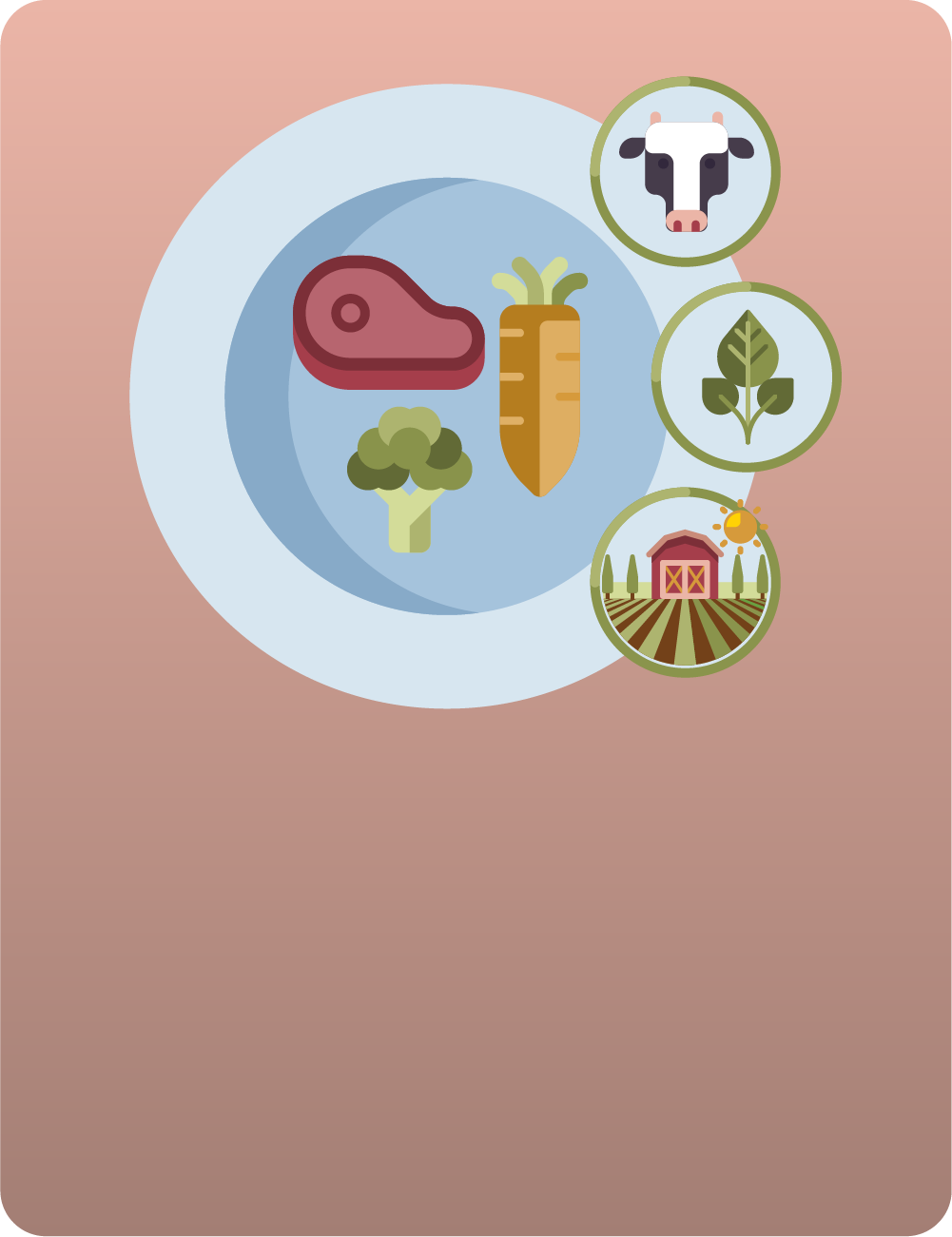 Illustration zu den Klimaauswirkungen verschiedener Lebensmittel mit Fleisch, Gemüse, Landwirtschaft und Tierhaltung.
